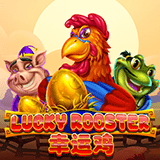 RTP joker honeyslot777