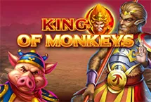 RTP Playngo honeyslot777